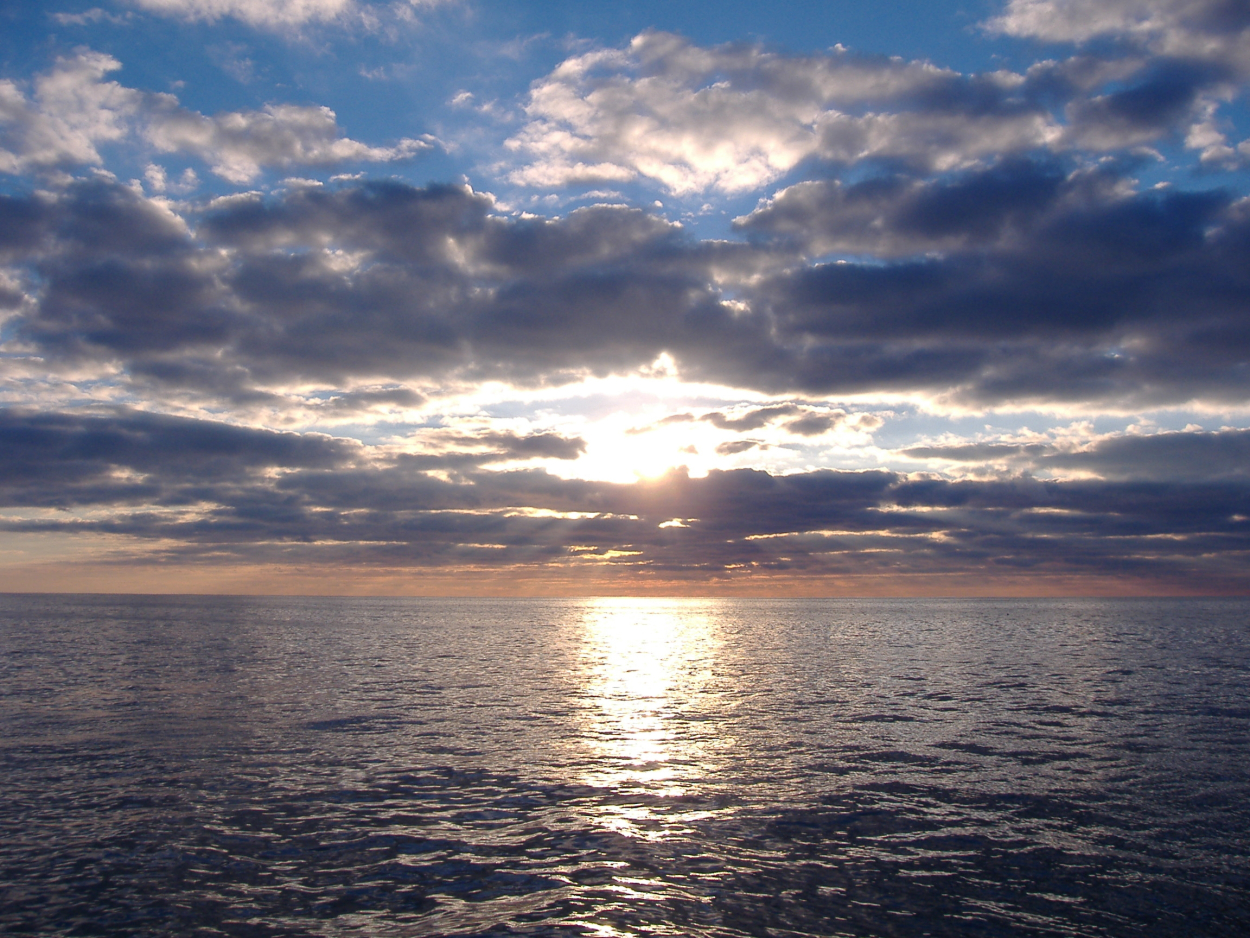 Field day over the Gulf of Mexico