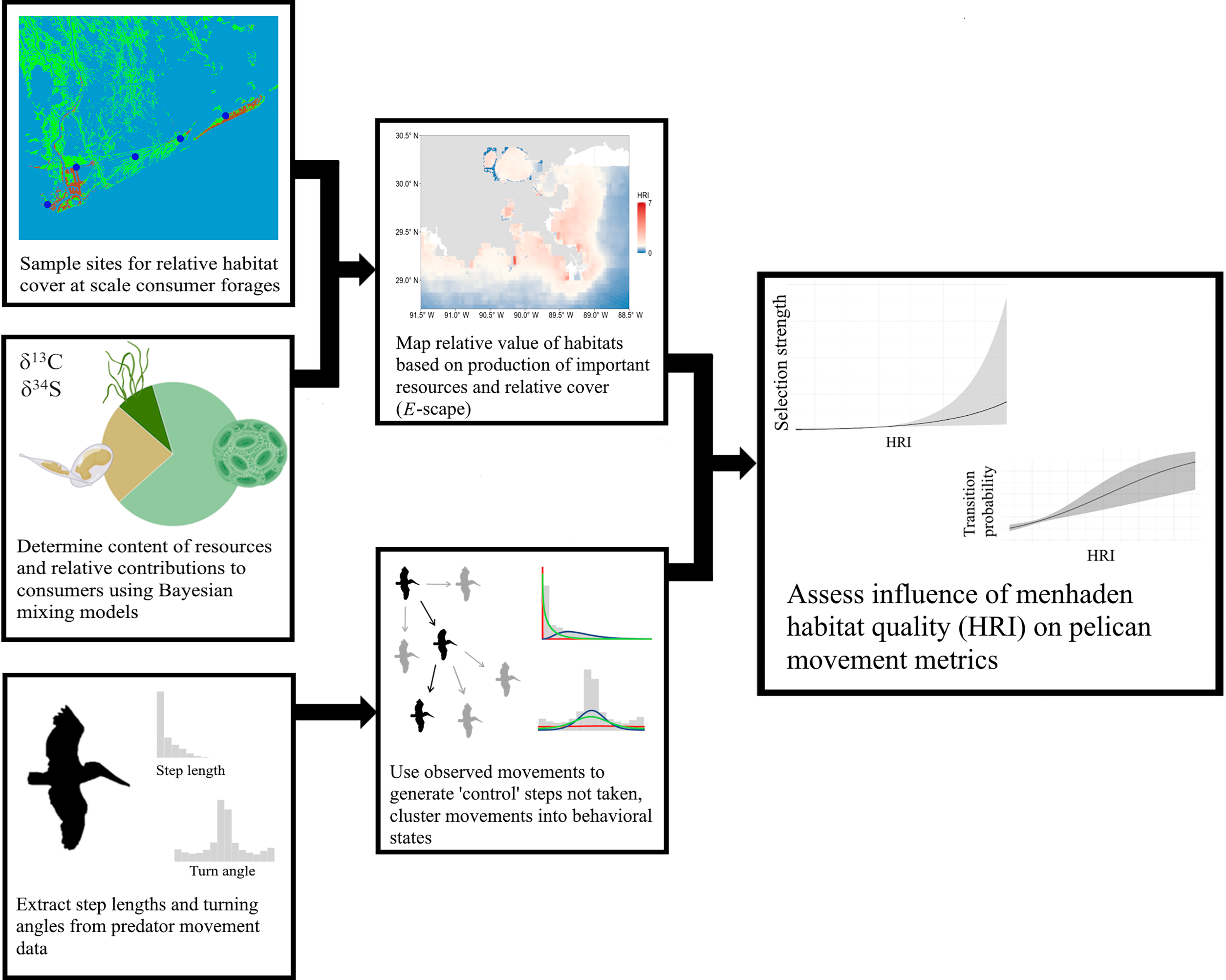 Figure from Remote sensing and foraging data illustrate landscape‐scale considerations for coastal restoration and avian management