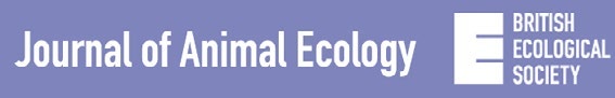 Figure from E‐scape: Consumer‐specific landscapes of energetic resources derived from stable isotope analysis and remote sensing